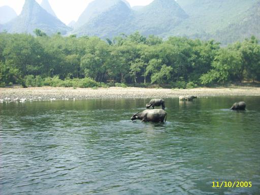 pic_1140.jpg